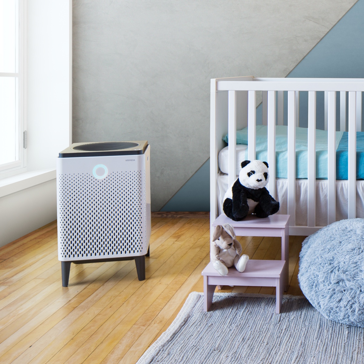 Choosing the Best Air Purifier and Eliminating Indoor Air Pollution