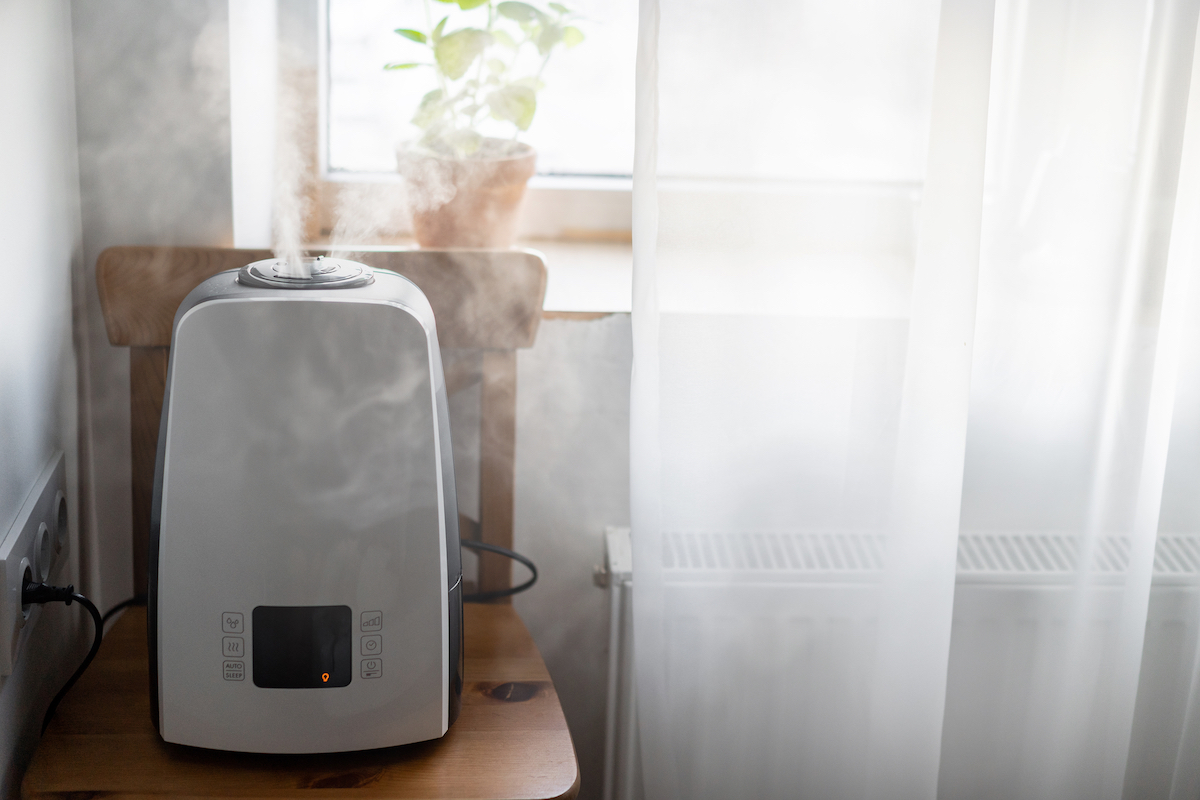 Energy-Efficient Dehumidifiers: Maintaining Your Ideal Home Humidity